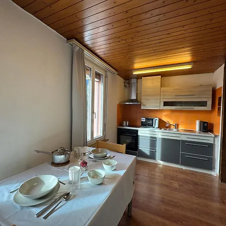 Downtown Apartment Interlaken