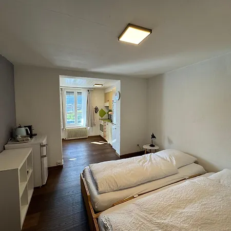 Downtown Apartment
